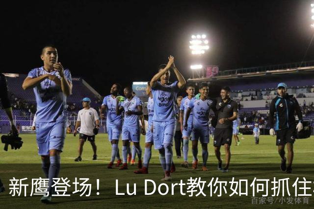 新鹰登场！Lu Dort教你如何抓住机会